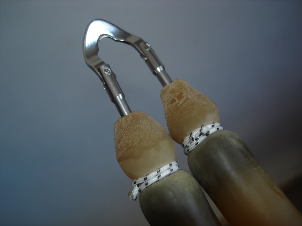 Ogiva Arbaletes